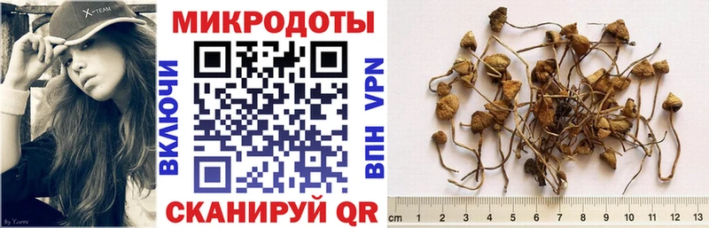 omg ссылка  Истра  Галлюциногенные грибы GOLDEN TEACHER 